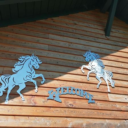 Villa Wild Life Ranch Schöfweg Exterior foto