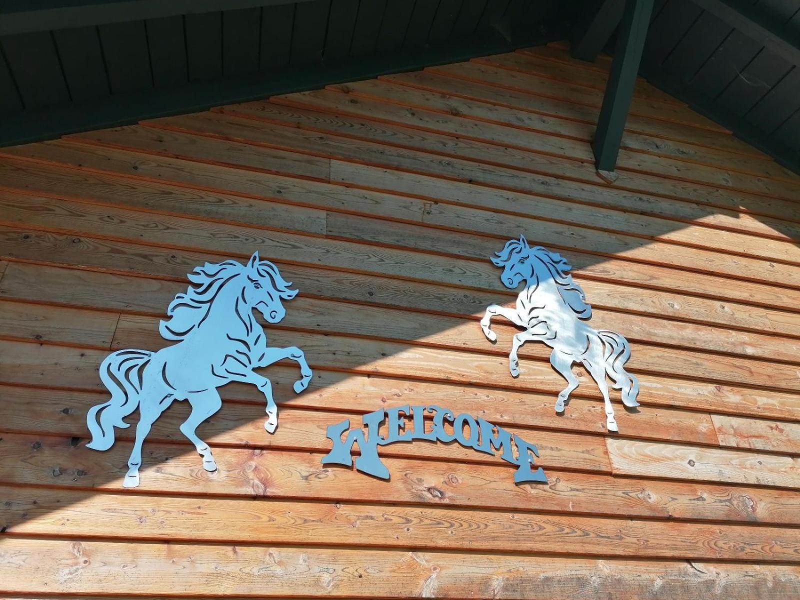 Villa Wild Life Ranch Schöfweg Exterior foto